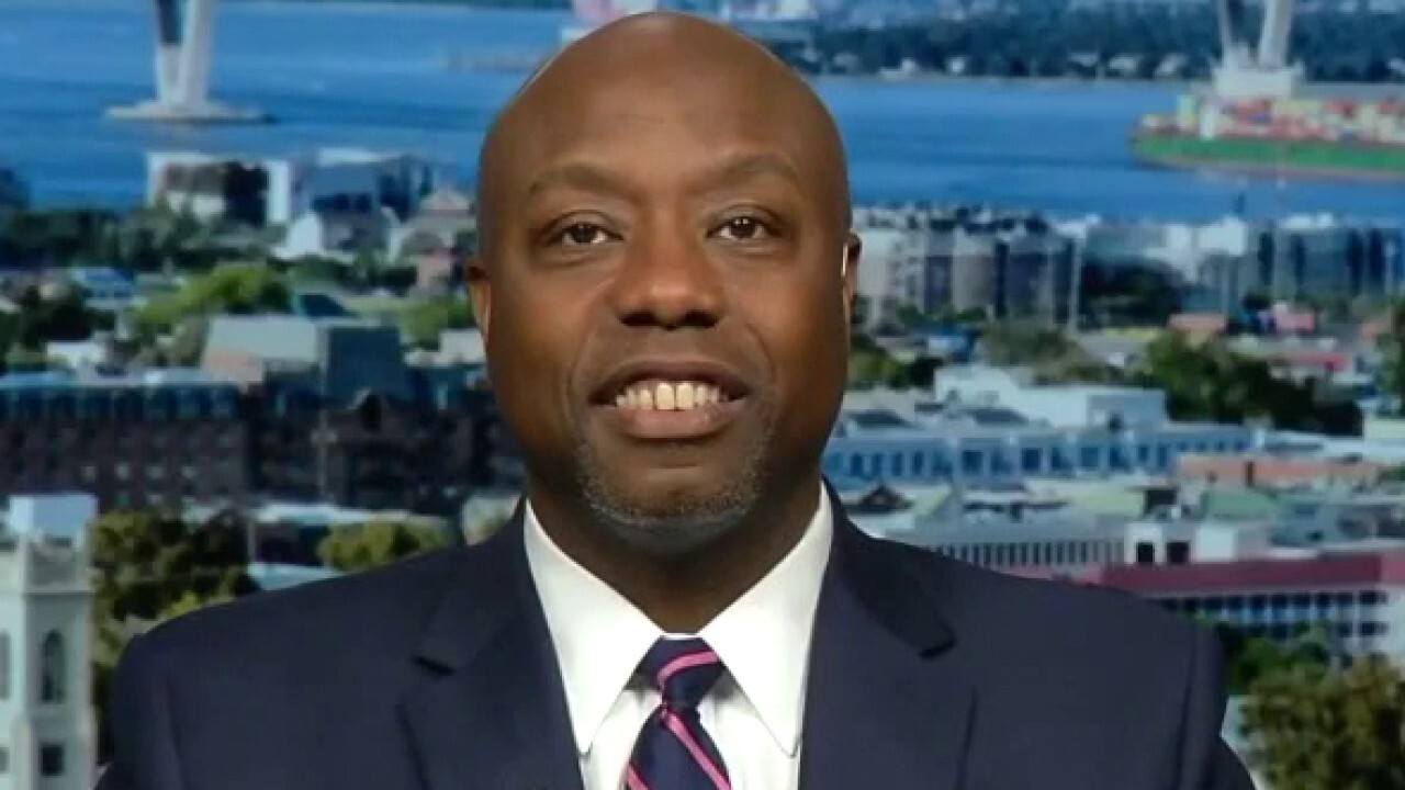 Sen. Tim Scott on Democrats blocking GOP police reform: Devastating for young souls in our country