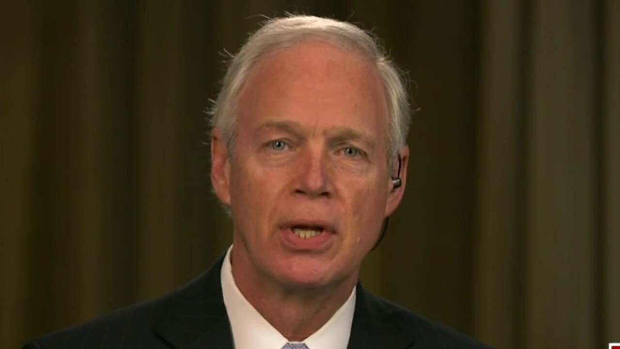 Sen. Johnson on Hunter Biden allegations: 'This is a mess' 