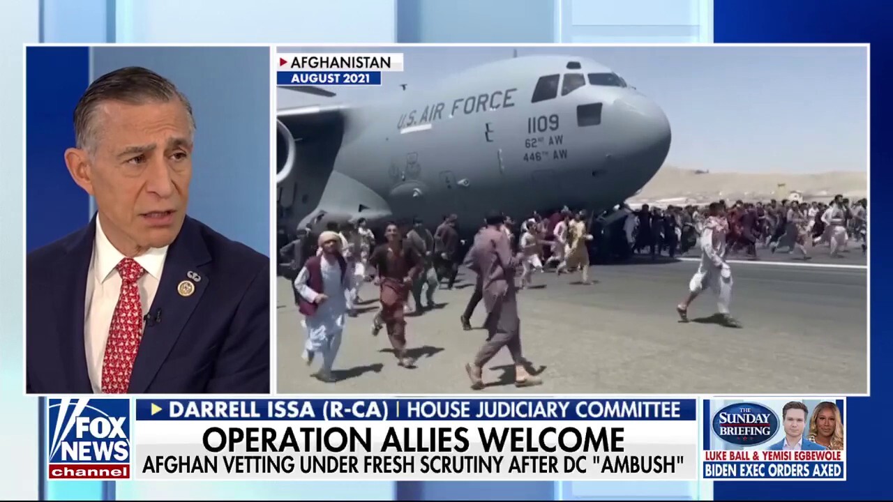 Rep. Issa slams Biden-era Afghan vetting after DC shooting: 'They aren't who they say they are'