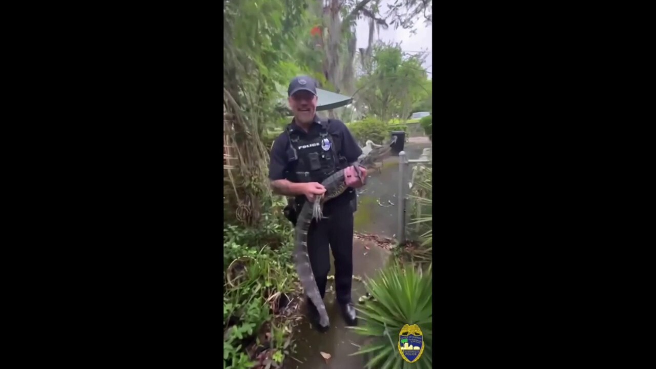 Офицери от Флорида „арестуваха“ досадния алигатор в дома на 104-годишна жена