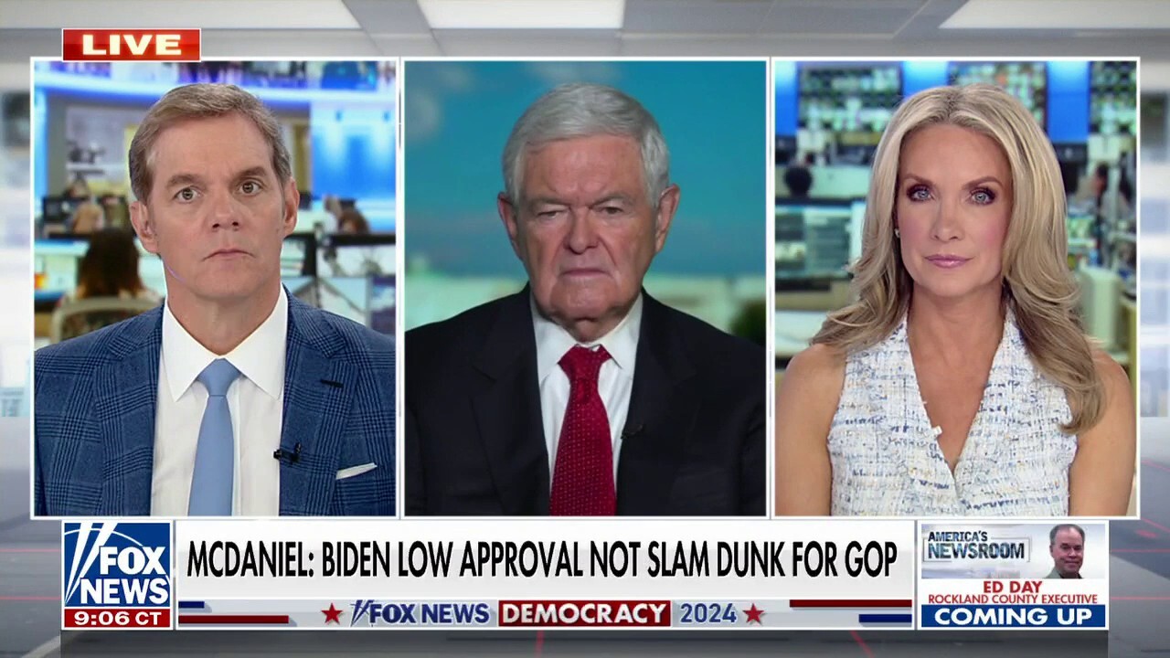 Newt Gingrich: Biden has to be worried about poor poll numbers