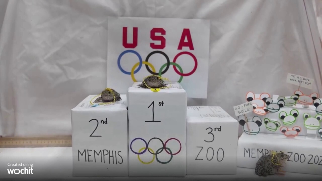 Tennessee zoo hosts frog-jumping Olympic-style competition