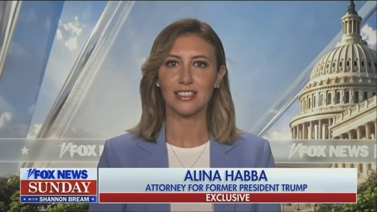 Alina Habba Interviewed On The Trump Indictment Fox News Video