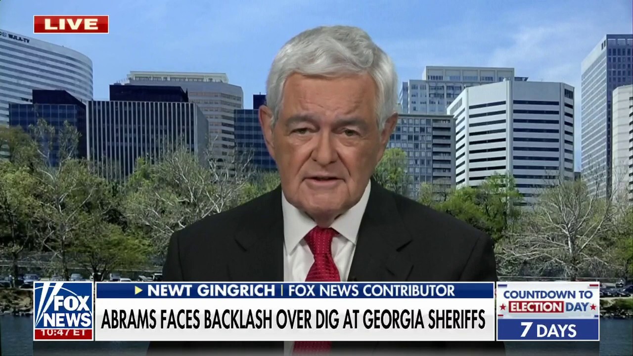 Newt Gingrich rips Stacey Abrams for dig at GA sheriffs: She's in the 'insane wing' of the Democratic Party