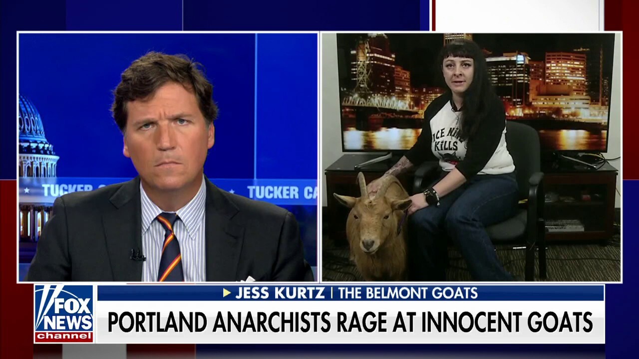 Belmont Goats’ Jess Kurtz says Portland anarchists attack on goats was ‘misguided’