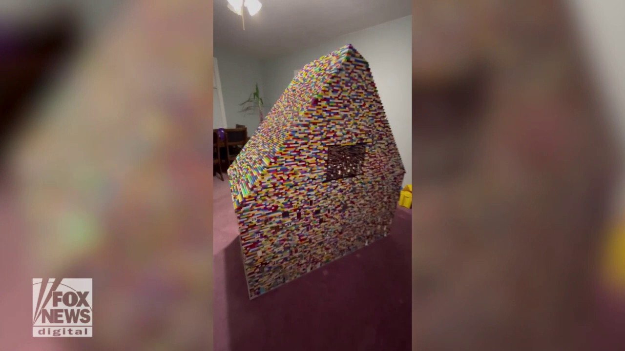 Жена, обсебена от Лего, строи 6-футова кучешка колиба за своите домашни любимци: „Няколкостотин хиляди парчета“