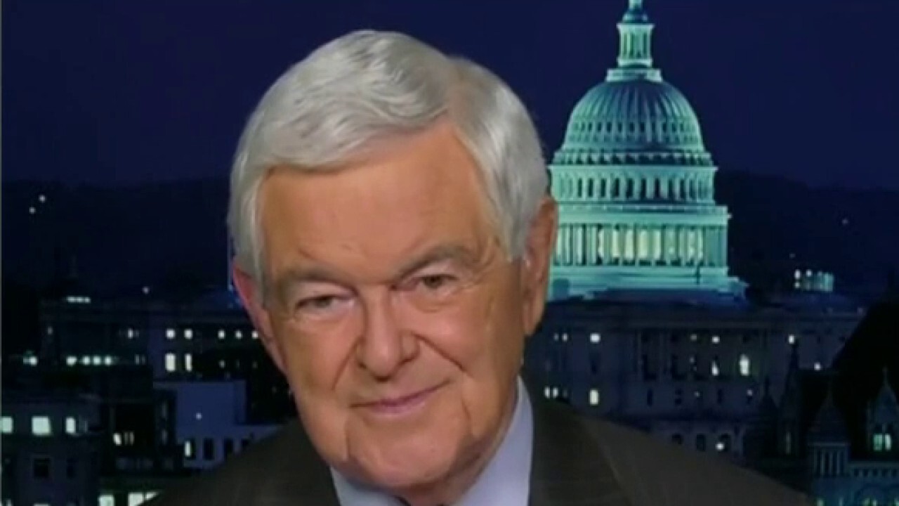 Newt Gingrich analyzes the state of the post-midterm counts