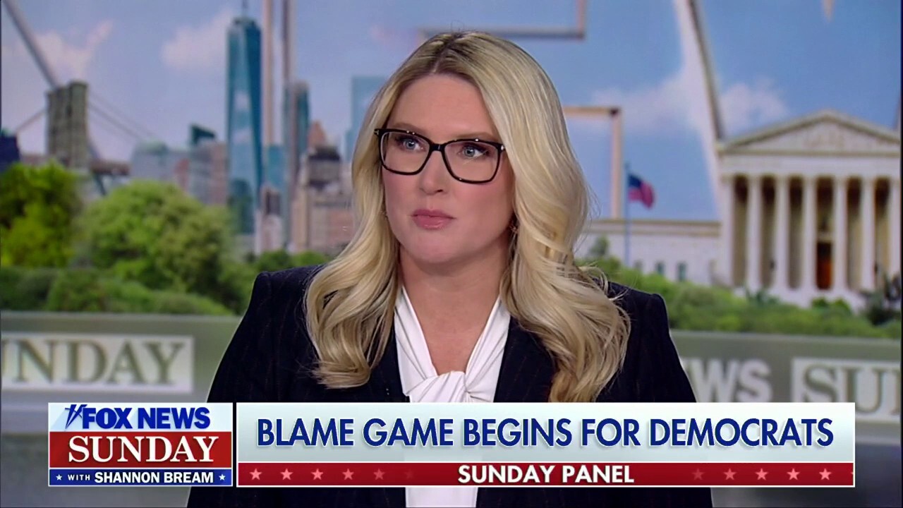 Democrat 'circular firing squad is churning on all cylinders,' says Marie Harf