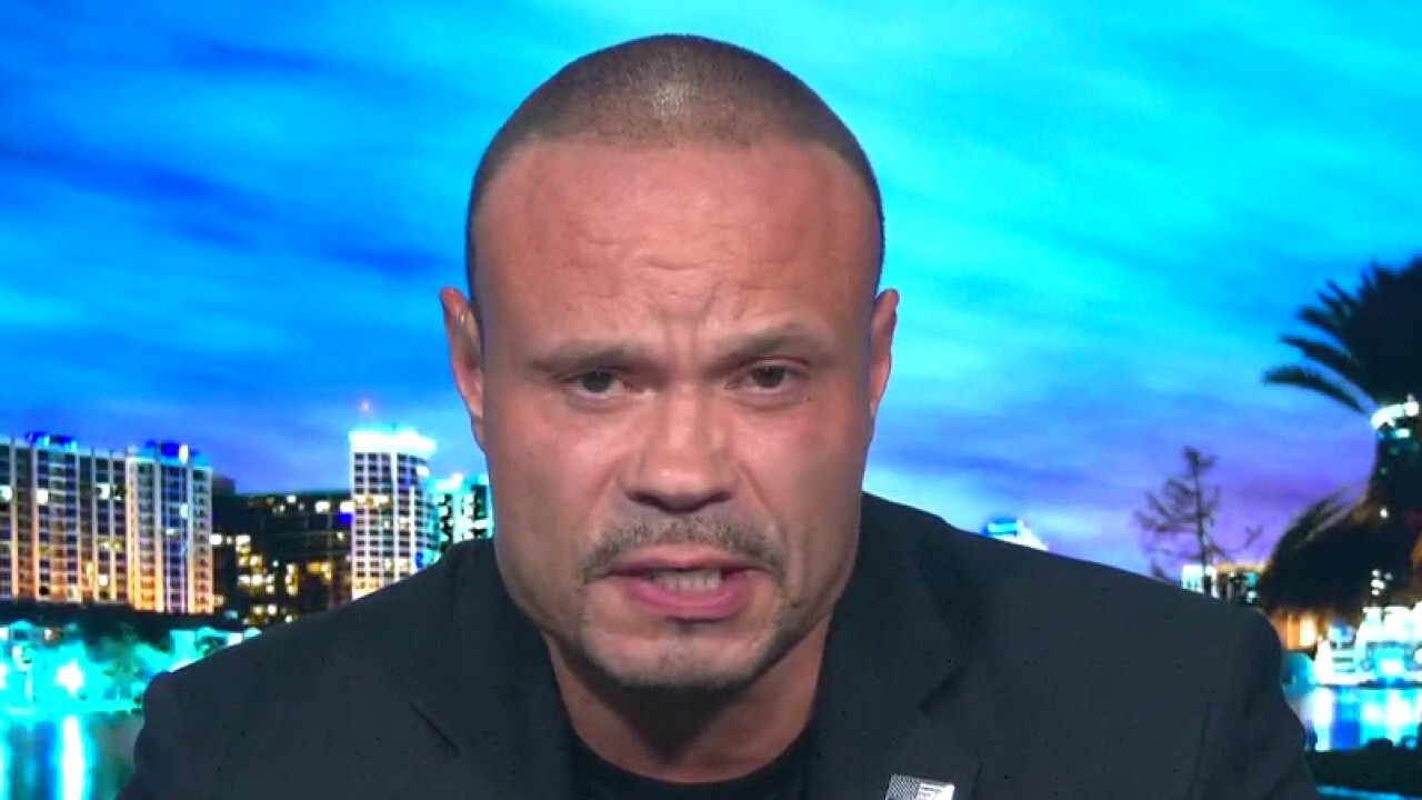 Bongino reacts to LA ambush on police: 'Culture rotting to the core'