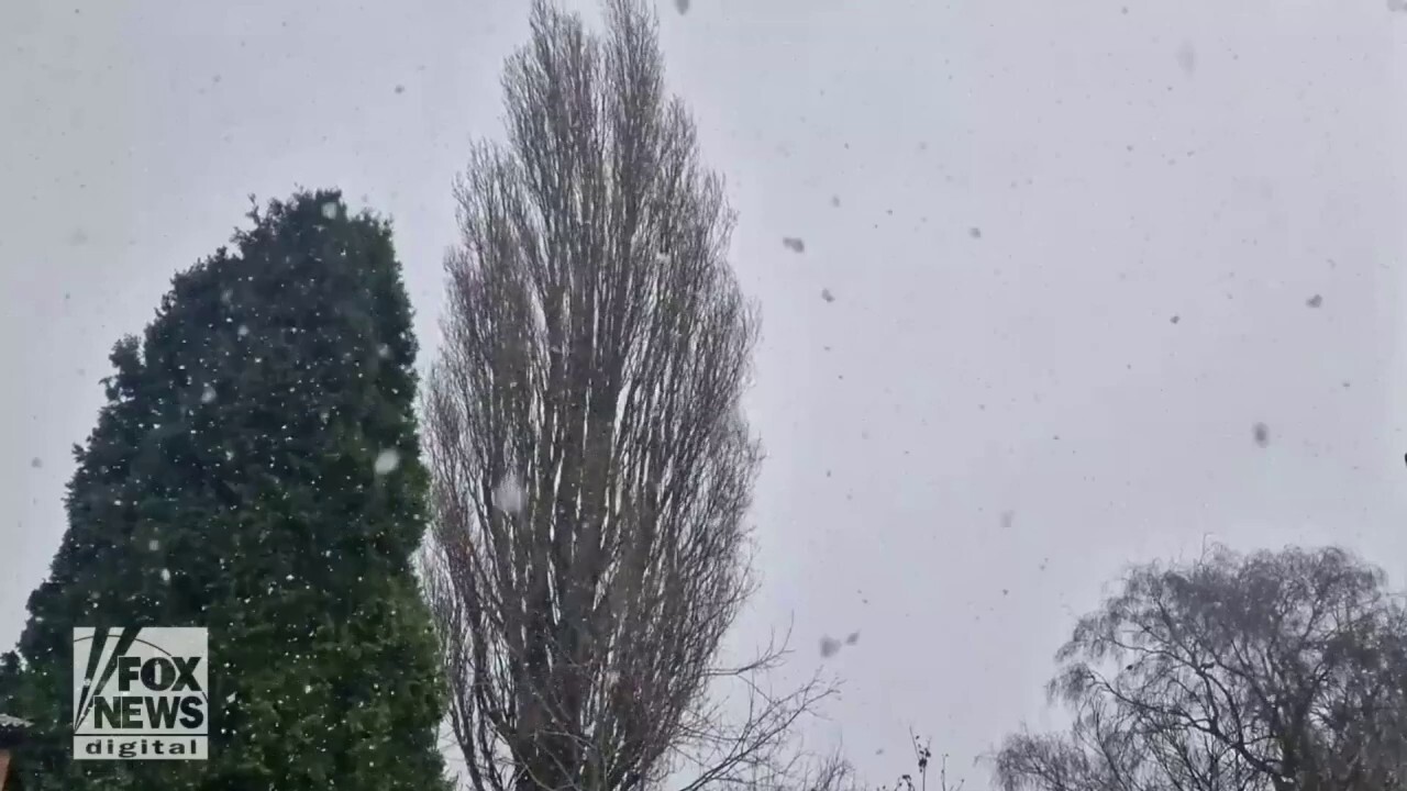  Serene robin enjoys the magical snowfall in England