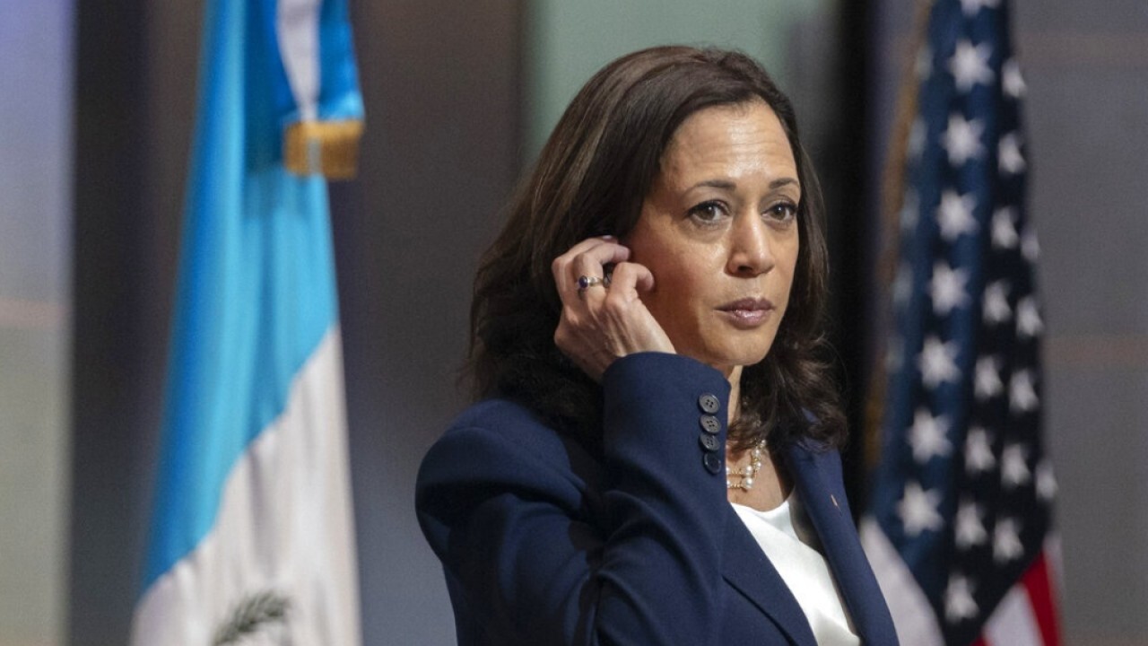 Democrats concerned Kamala Harris can't beat GOP nominee in 2024: report