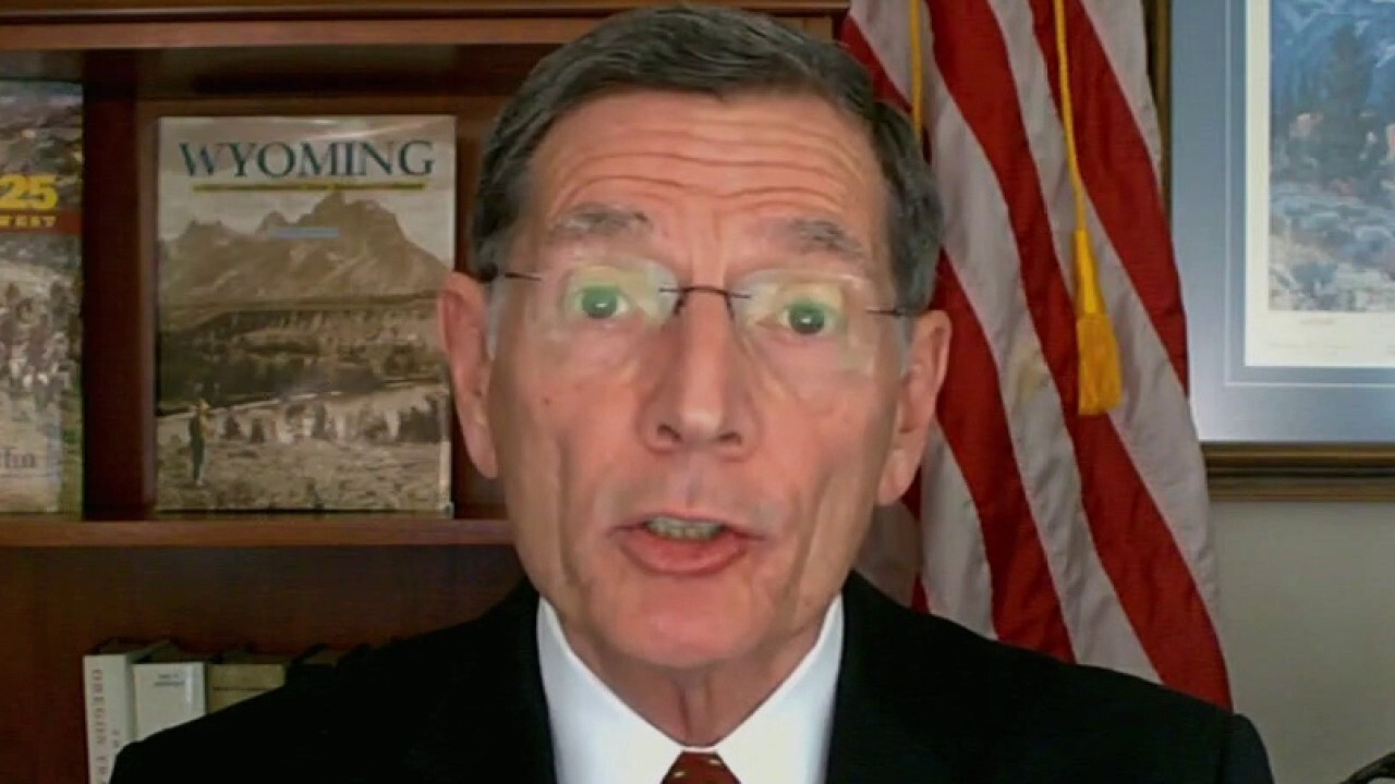 Answer to Russia-Ukraine war is American oil: Sen. John Barrasso