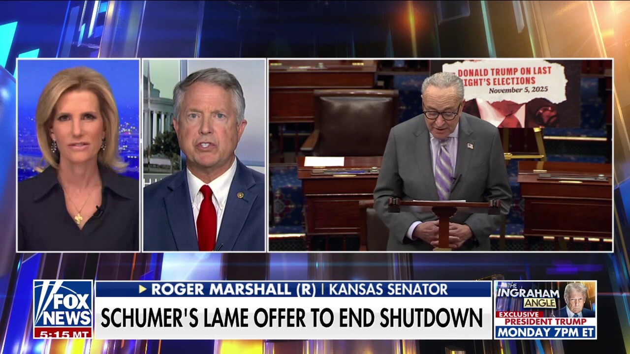 'That’s a non-starter’: GOP senator tears into Schumer's offer