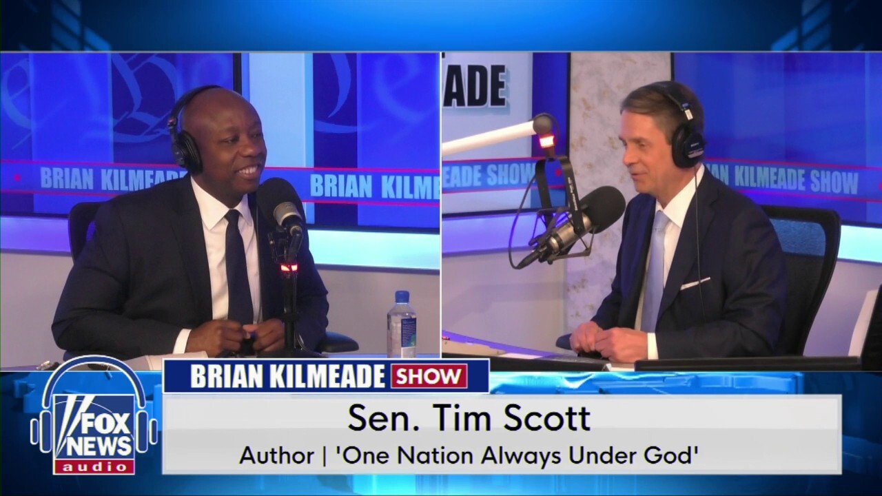 Sen. Tim Scott warns Democrats have ‘weaponized’ financial institutions