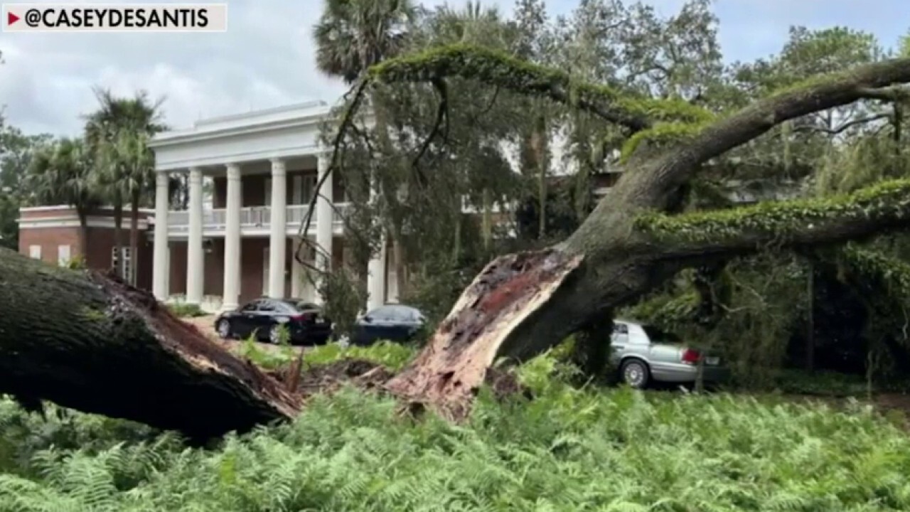 100-year-old oak tree falls on Florida governor's mansion during Idalia