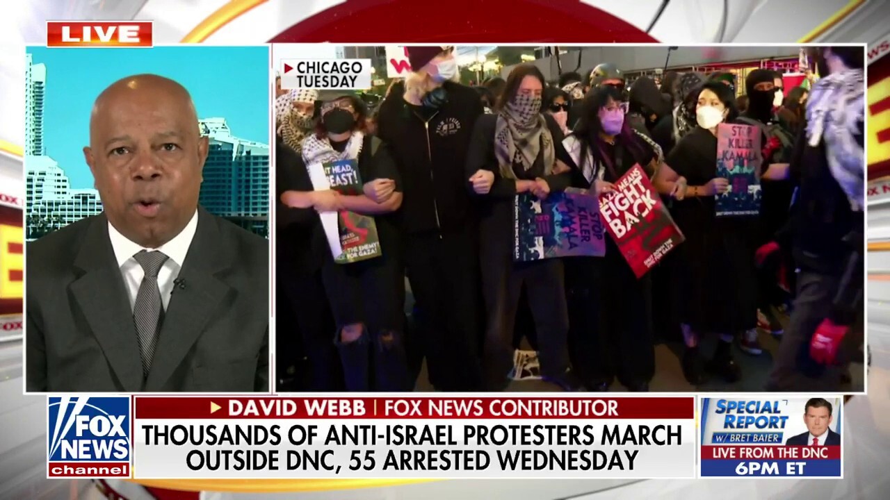 Dozens of anti-Israel protesters arrested outside DNC