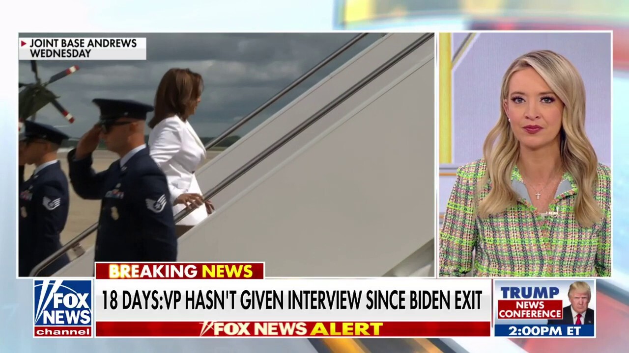 Kayleigh McEnany touts JD Vance tarmac move as Harris dodges media: 'Brilliant'