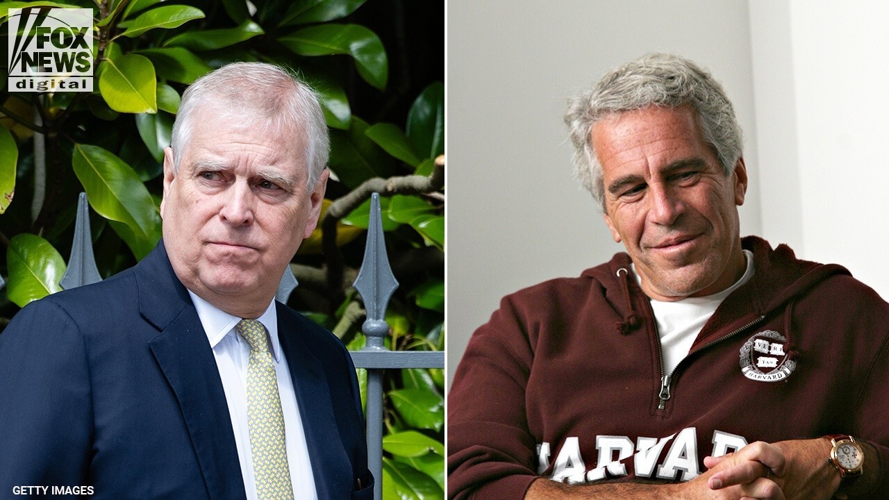 Prince Andrew, Jeffrey Epstein had 'money and sex' in common: author