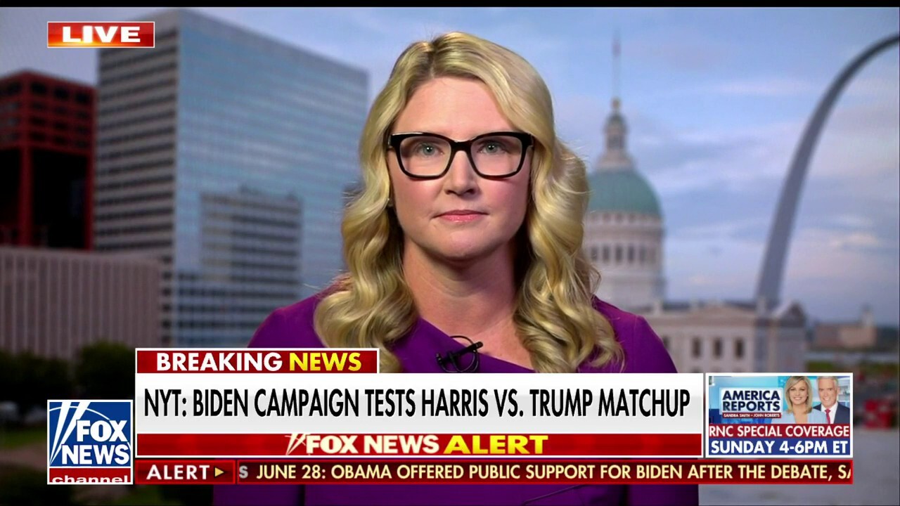 Democrats have a ‘much better chance’ at winning with another name on the 2024 ticket: Marie Harf