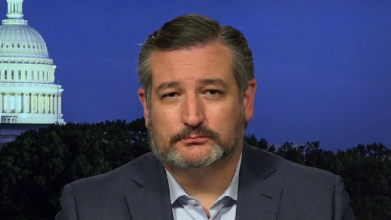 Sen. Ted Cruz: Democrats released the crazies in their party	