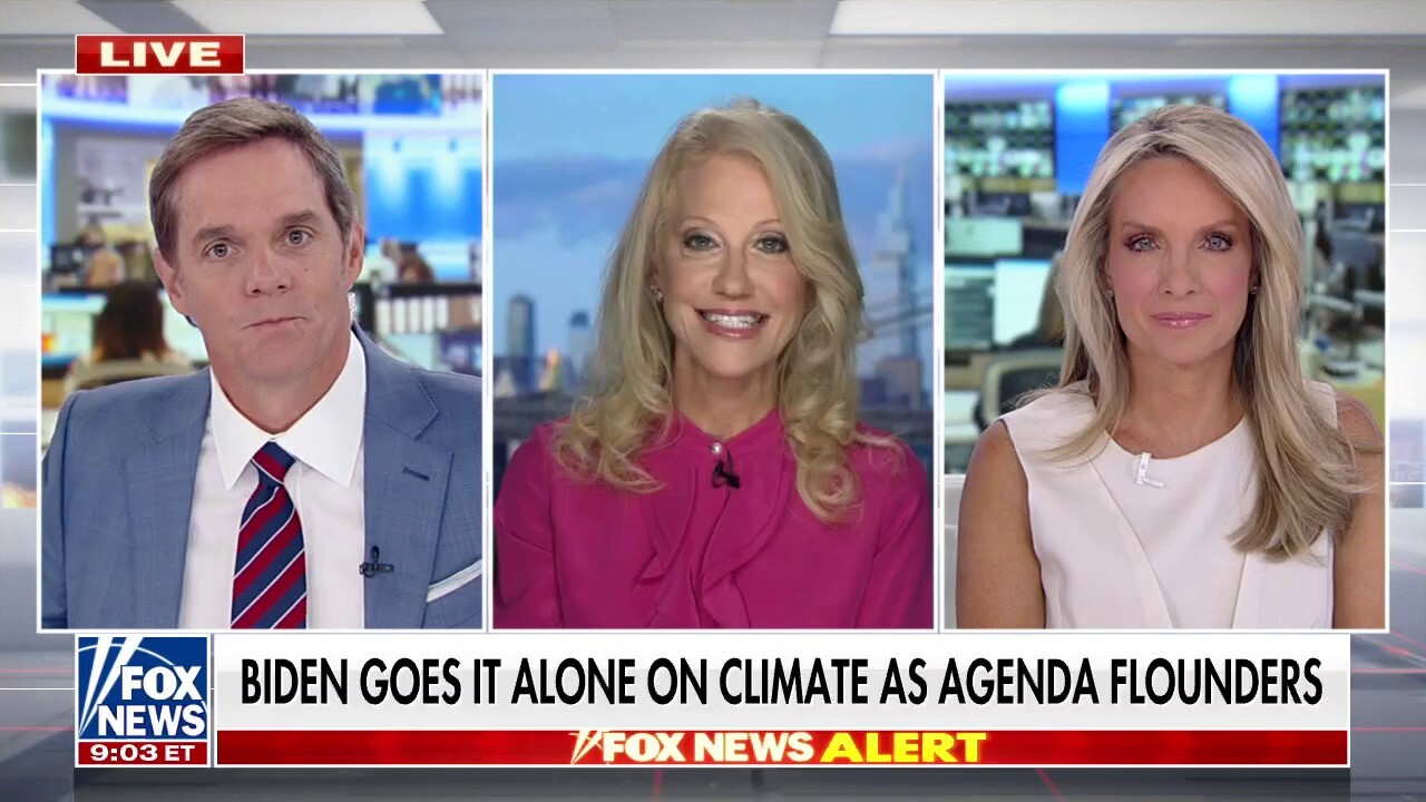 Kellyanne Conway on 'America's Newsroom': Most Americans think Biden-Harris climate agenda 'makes no sense'