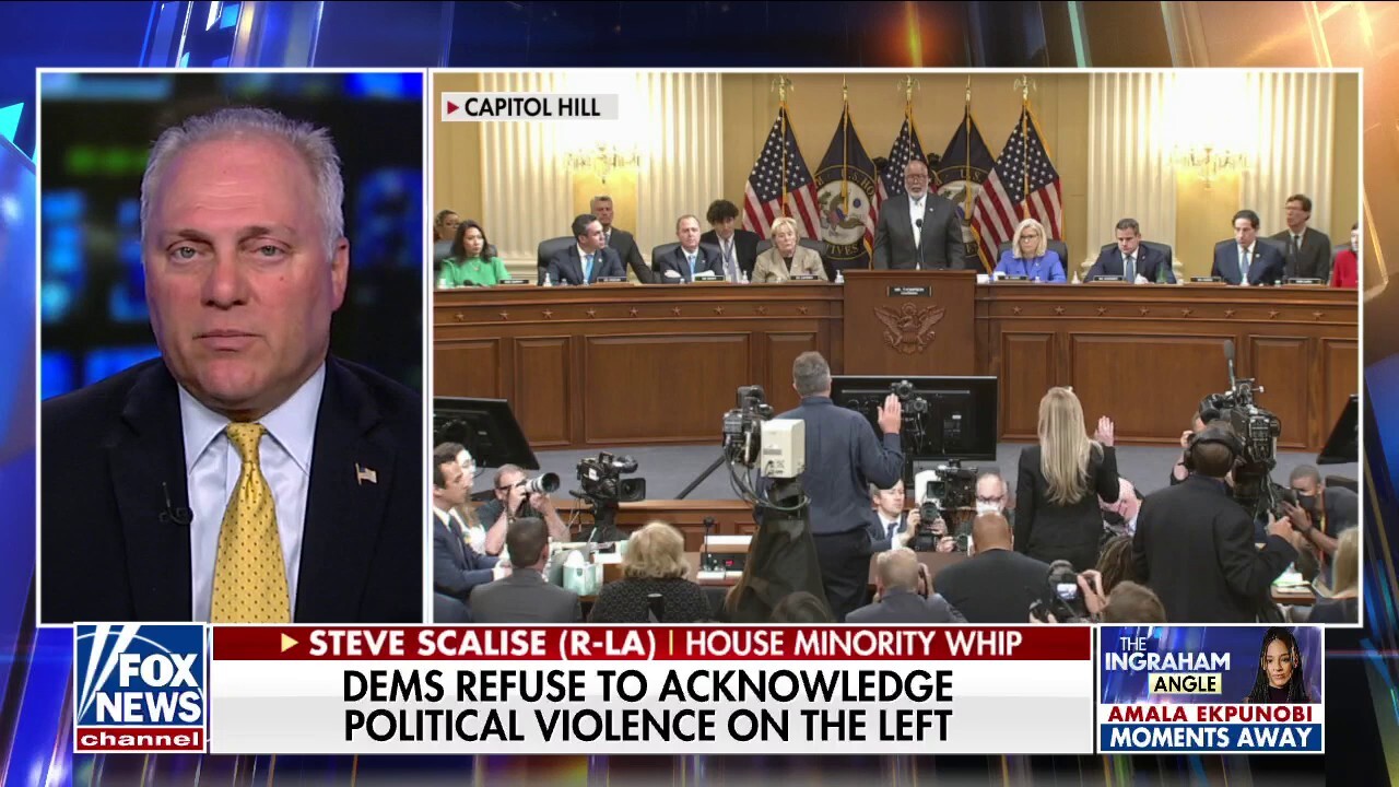 Democrats know what Americans are angry about: Scalise