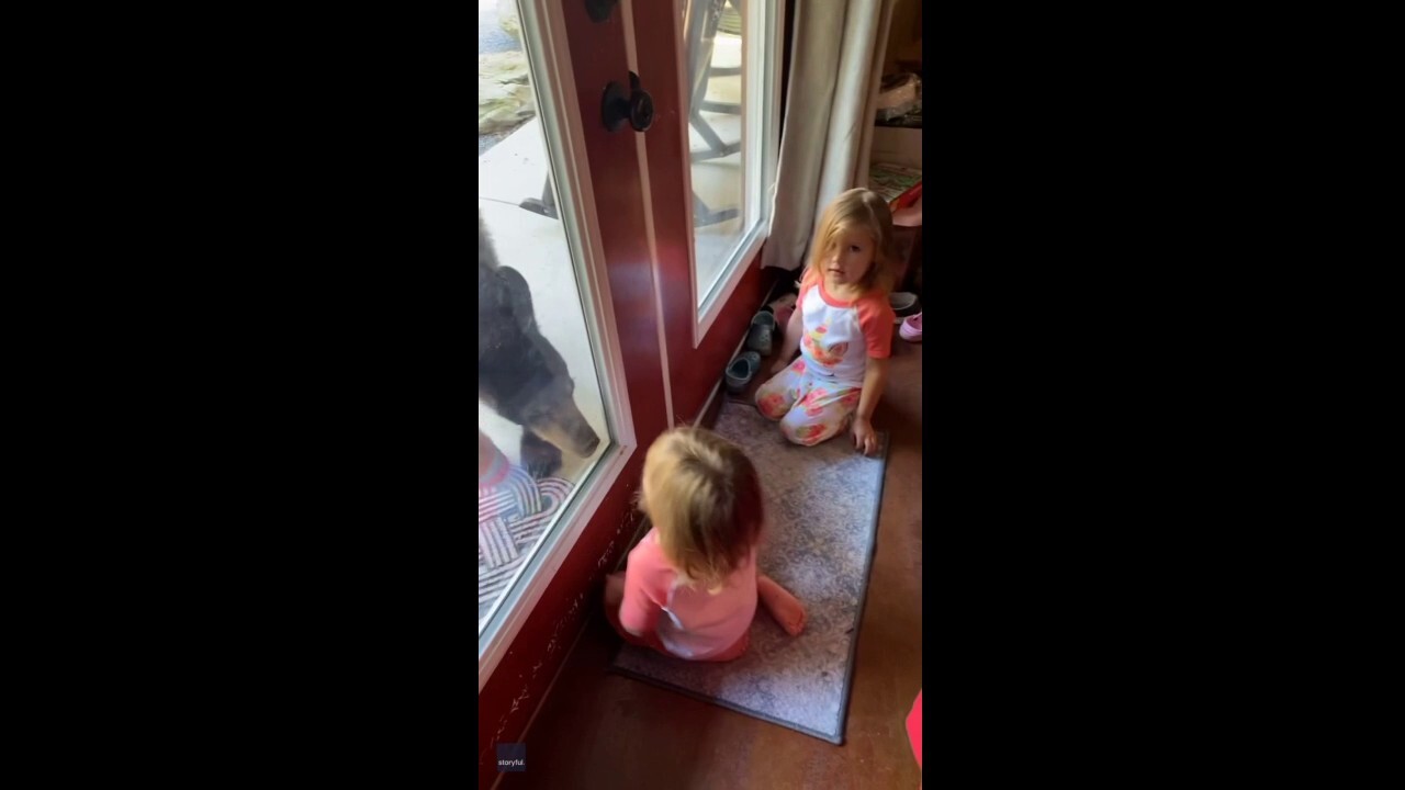 CLOSE ENCOUNTERS: Bear shows up at cabin door as toddlers play inside