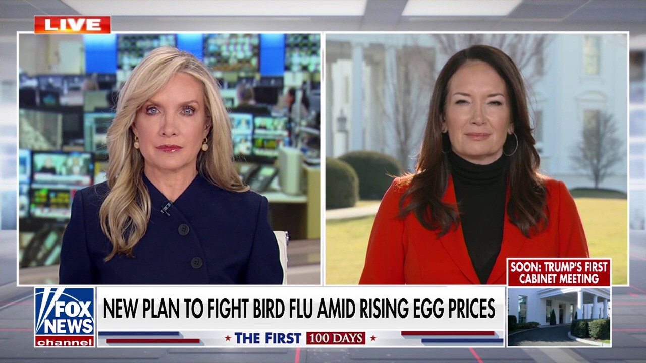 USDA Sec. Brooke Rollins shares the Trump administration's new strategy to fight bird flu as egg prices remain high.