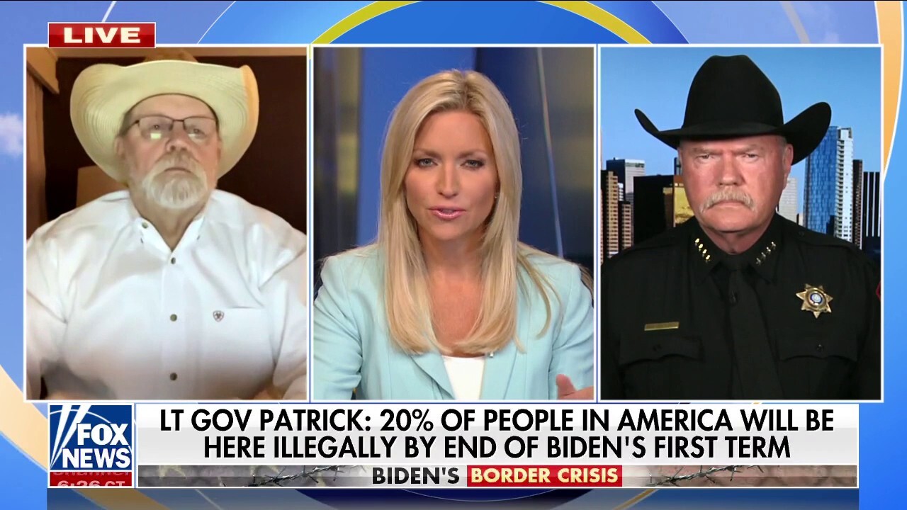 Texas lieutenant governor warns 20% of people in US will be illegal immigrants by end of Biden's first term