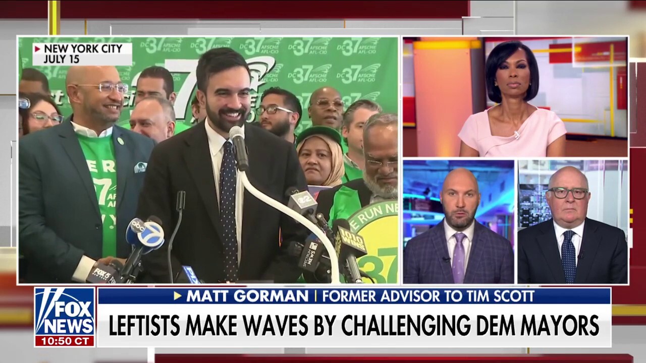 'JUST GET IT OVER WITH': Former Tim Scott advisor on NYC Dems waiting to endorse Mamdani