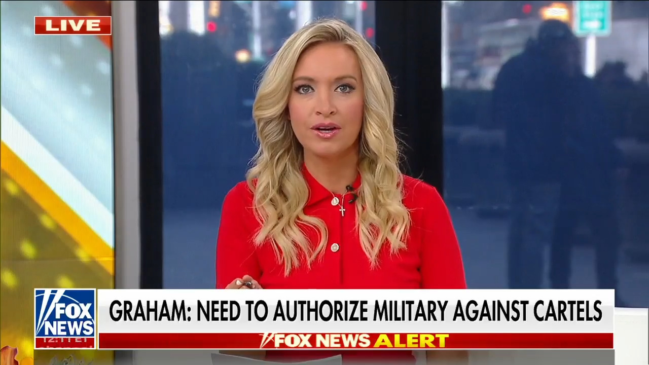 Kayleigh McEnany fact-checks Karine Jean-Pierre's claim that fentanyl is at 'historic lows'