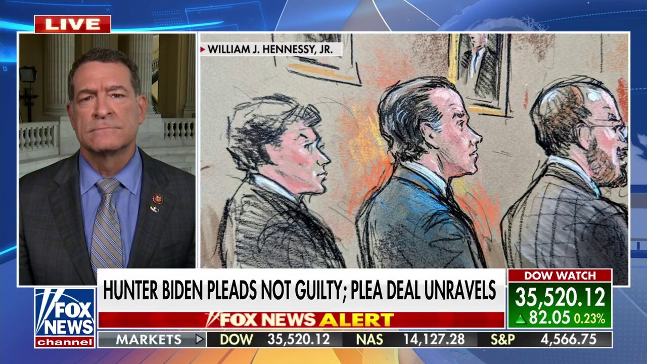 There's no doubt that Hunter Biden is a criminal: Rep. Mark Green 