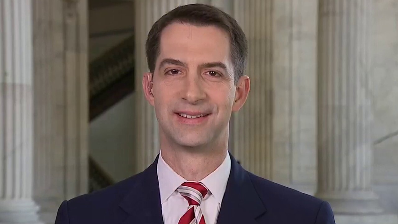 Sen. Tom Cotton: Democrats filibuster bills on abortion, that’s the really issue at stake 