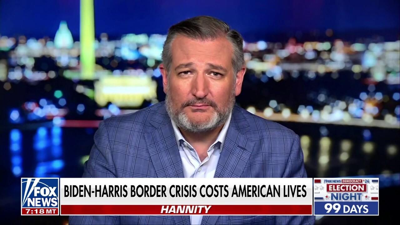 Sen. Ted Cruz, R-Texas, says Democrats only want 'votes' and 'power' on 'Hannity.'