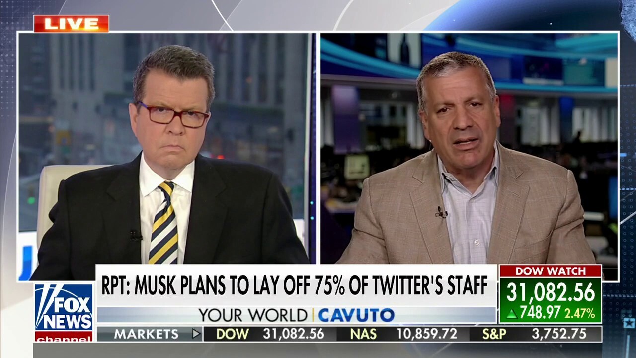 Charlie Gasparino: The reported Elon Musk investigation 'could be serious'