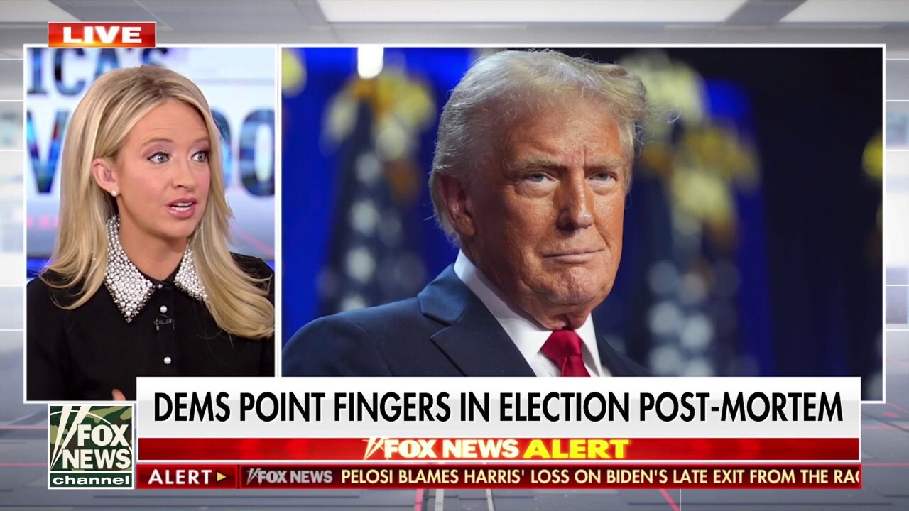 McEnany: No candidate would have beaten Trump in 2024 without policy changes