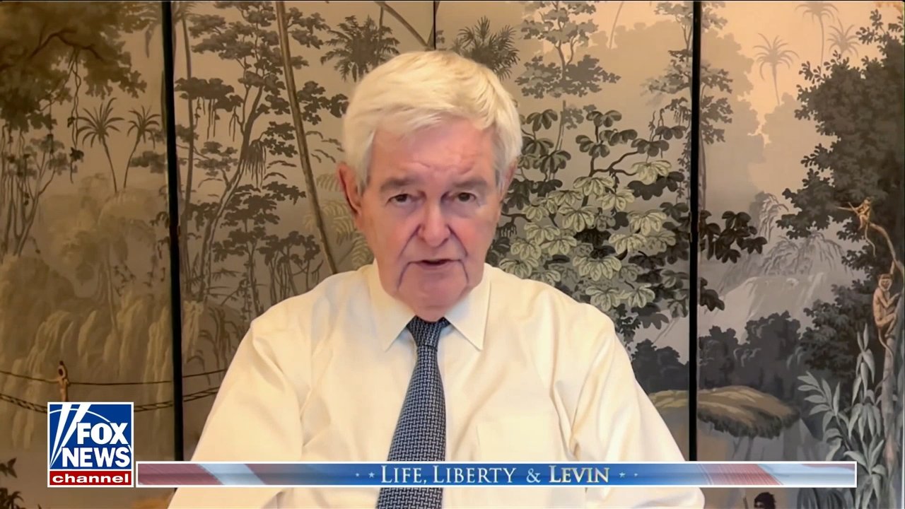 When you have a system failing this badly, you are ‘ruining’ children’s lives: Newt Gingrich