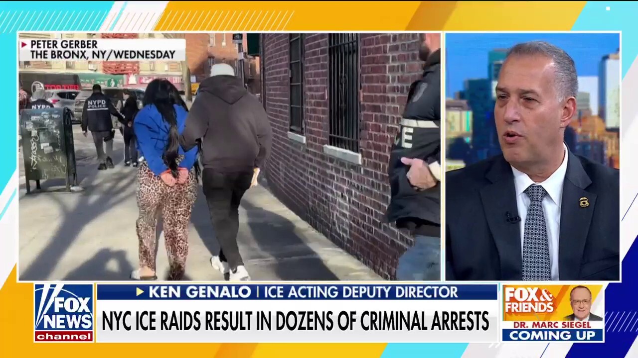 ICE getting ‘no cooperation’ from sanctuary cities on criminal migrants