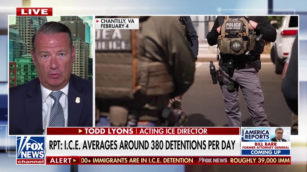 ICE official describes the 'BAD ACTORS' the agency is 'going after'