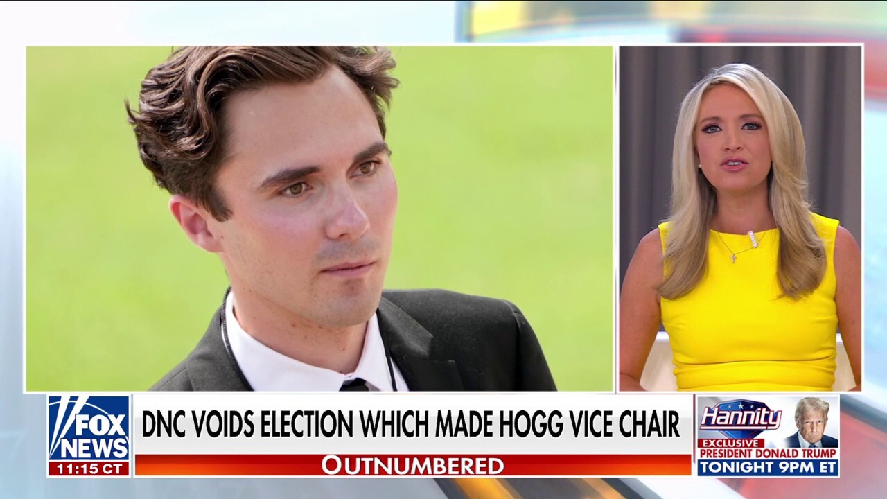 DNC votes to nullify election of vice chair over gender diversity rule 