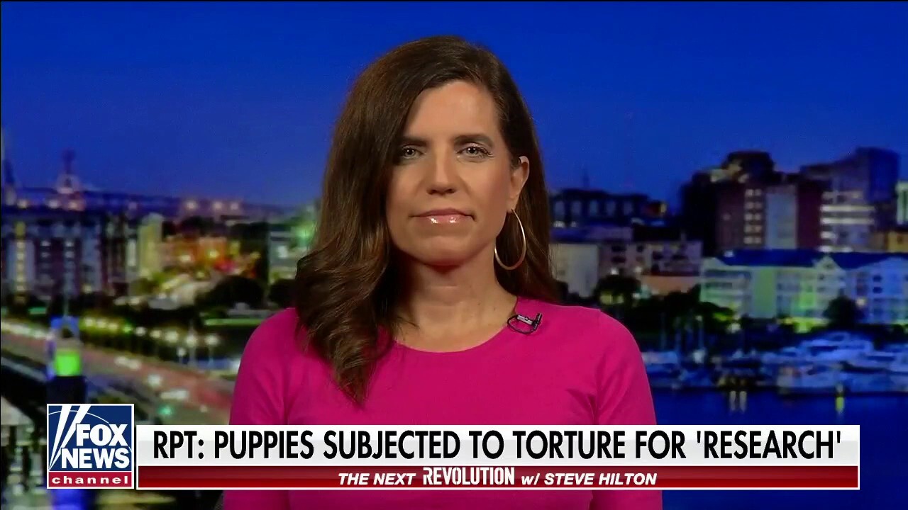  Rep. Nancy Mace: Fauci close to being a supervillain