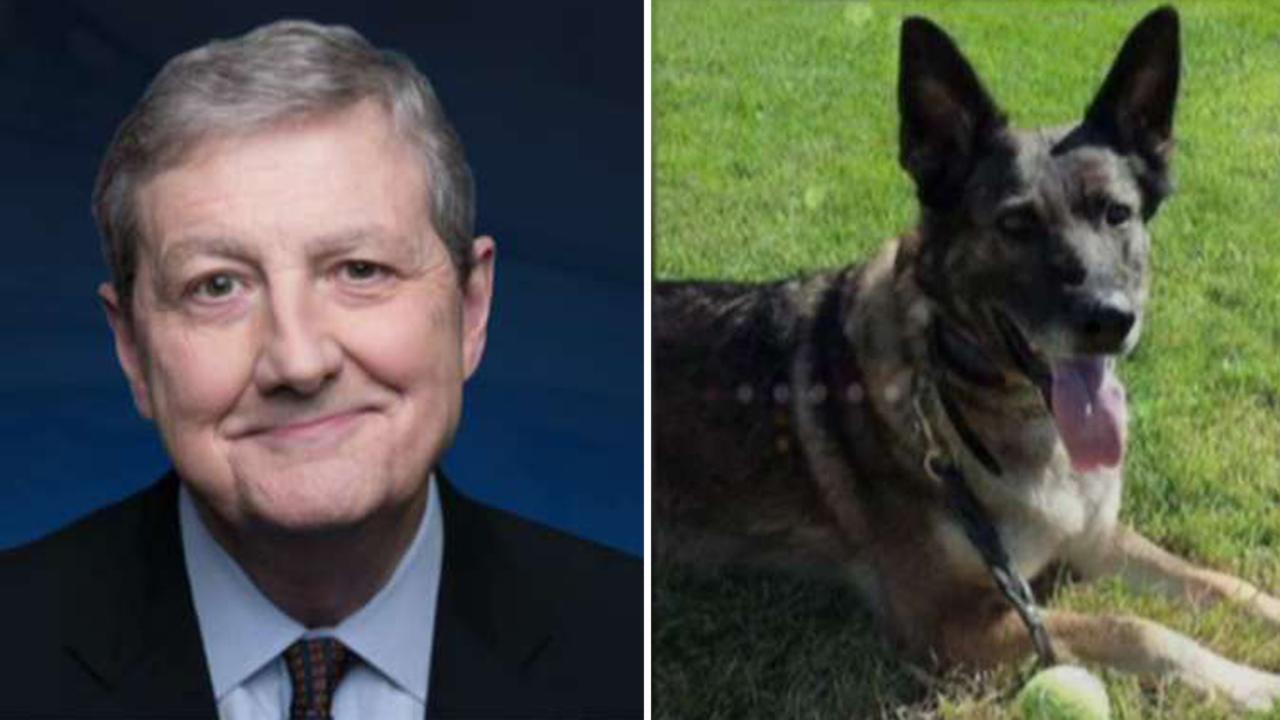 Sen. John Kennedy on push to protect pets on flights