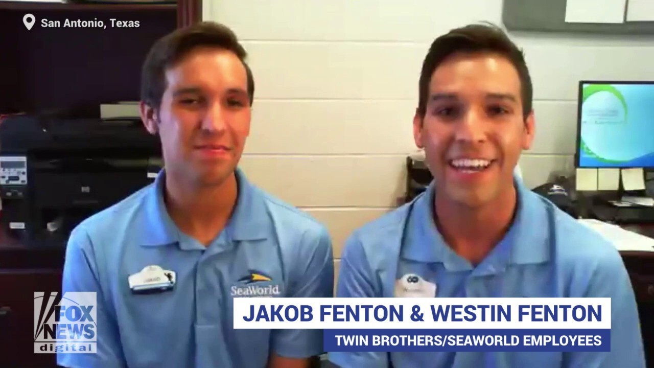 Texas twin brothers attended SeaWorld summer camp as children, now work as employees 