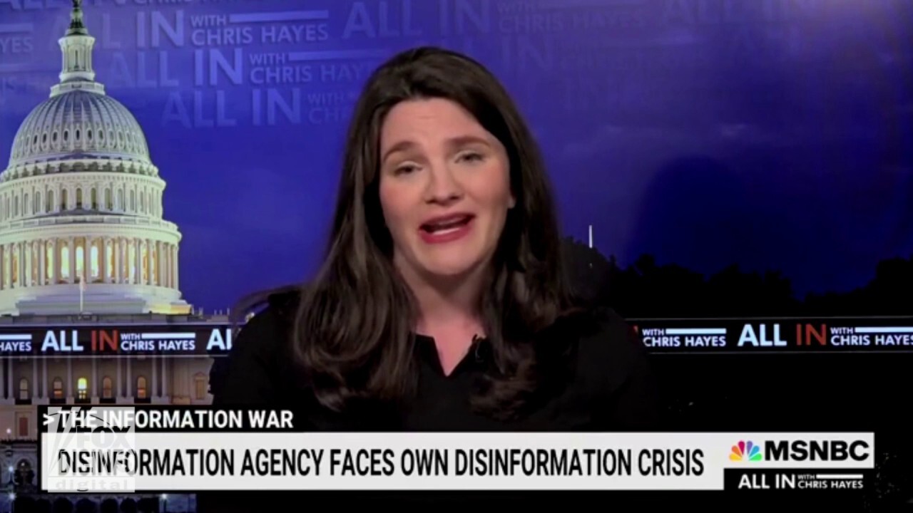 Nina Jankowicz says its 'ironic' that disinformation board was 'taken over by disinformation'