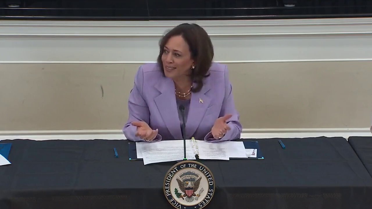 Kamala Harris speaks about the nature of transportation 