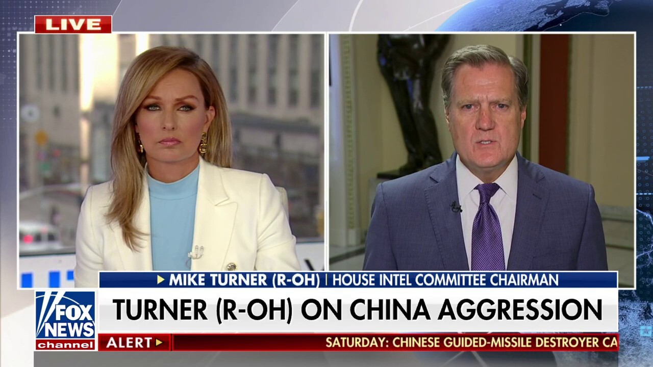 Our sovereignty has been at risk: Rep. Mike Turner