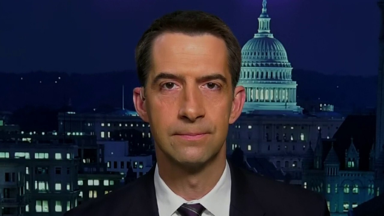 Sen. Tom Cotton on efforts to bring medical supply chains back to US from China	