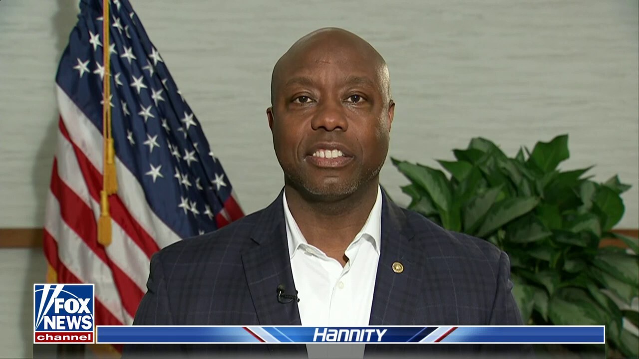 Sen. Tim Scott: 'Your vote matters today more than it has ever mattered'