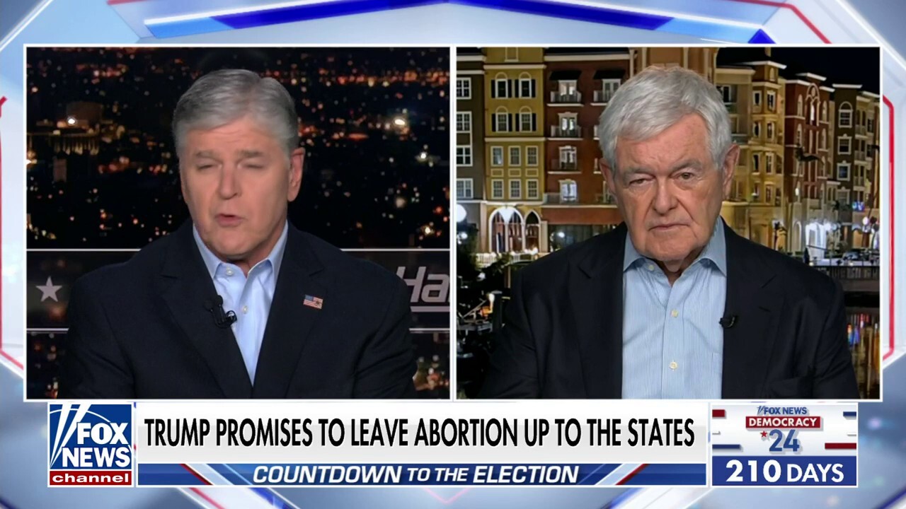 Newt Gingrich: Democrats don't believe in the rule of law, but in the rule of power