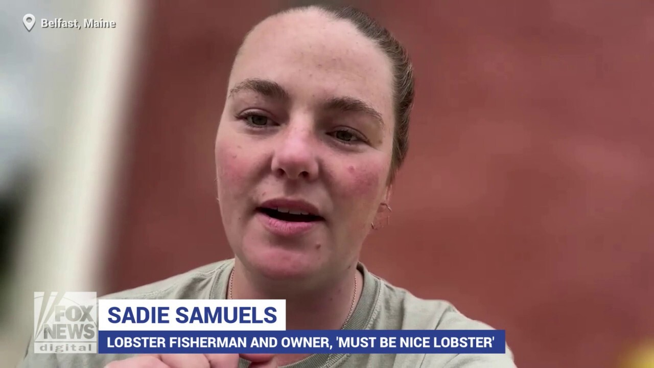 Maine lobster fisherman describes industry sustainability practices